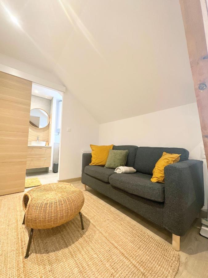 Sacre Appartement/Jardin/Parking/Wifi Rodez Exteriör bild