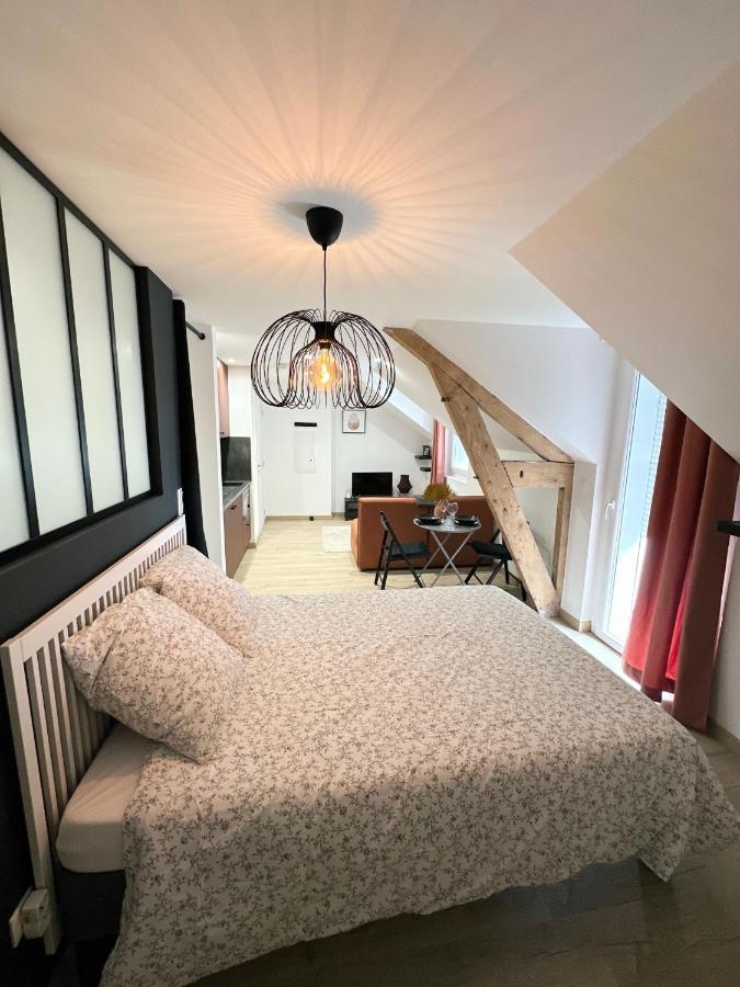 Sacre Appartement/Jardin/Parking/Wifi Rodez Exteriör bild